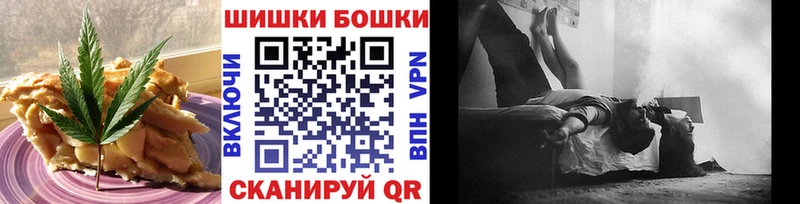 мега ссылки  продажа наркотиков  Шуя  Еда ТГК конопля 