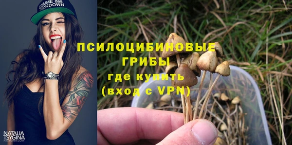 прущая мука Алзамай