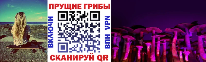 Галлюциногенные грибы мицелий  где купить наркоту  Шуя 