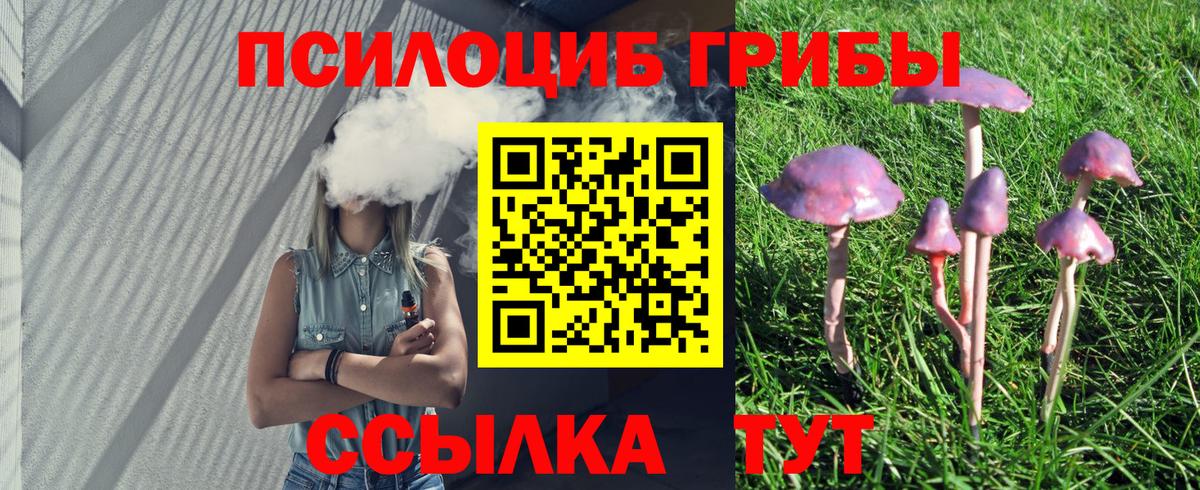 Псилоцибиновые грибы Psilocybine cubensis Шуя